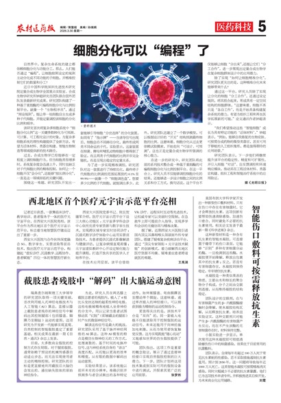 ũ��ҽҩ��ҽҩ�Ƽ�